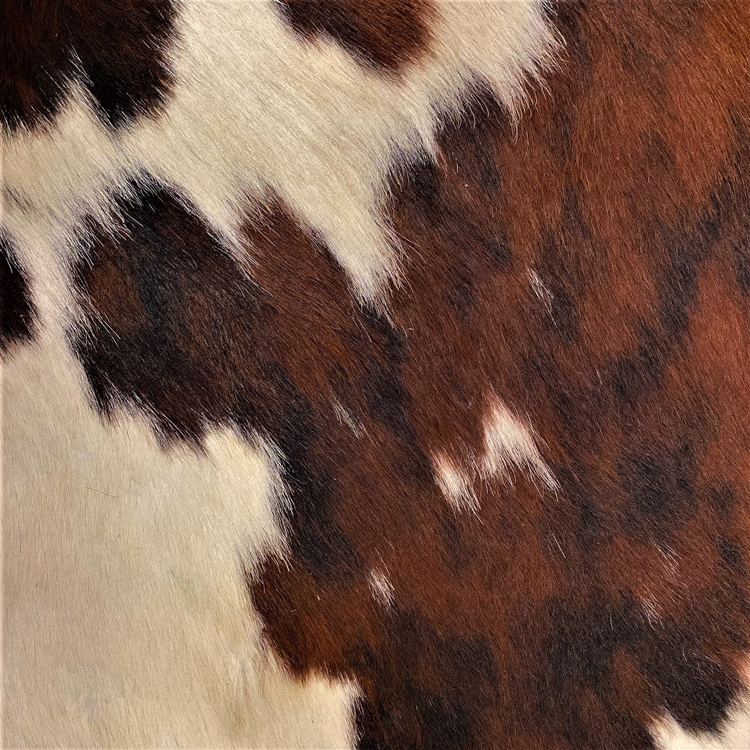 Designer Tri-Color Brindle